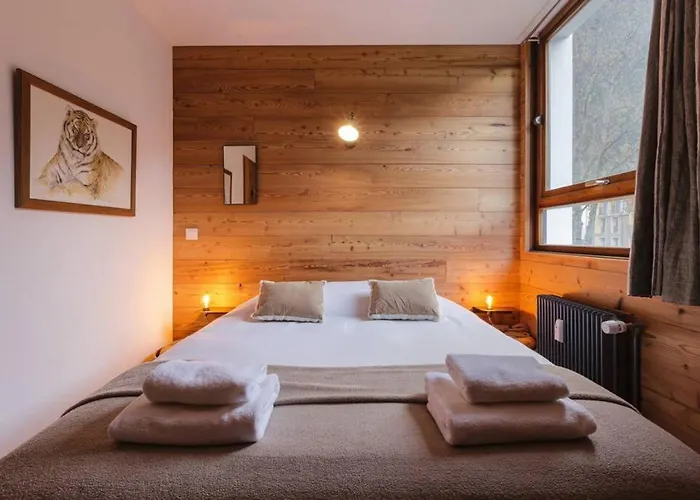 Vallee Blanche 4pax Vue Mtblanc Parking 400m Remontee